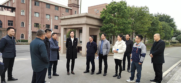 領導關懷 | 榮昌委副書記、區長萬容一行蒞臨我司考察調研